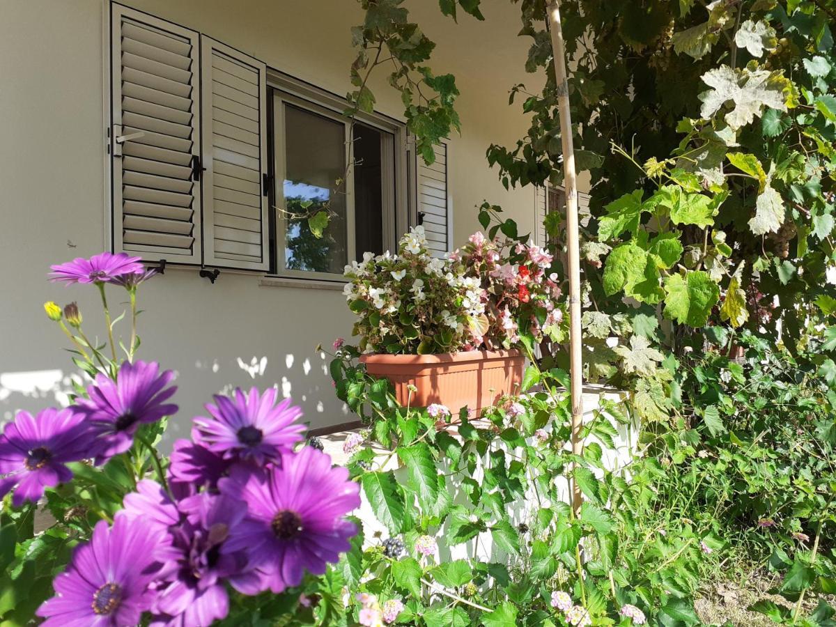 Villa Pusortu Orosei Zewnętrze zdjęcie